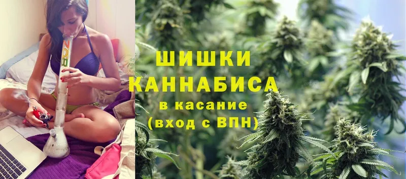 Канабис SATIVA & INDICA  Исилькуль 